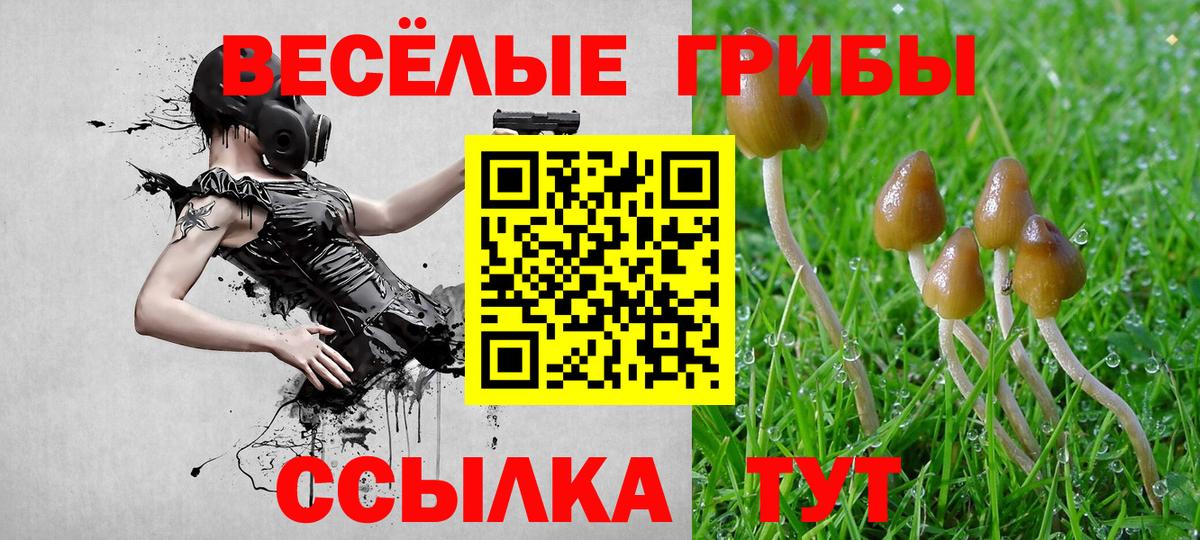 Галлюциногенные грибы GOLDEN TEACHER Гуково